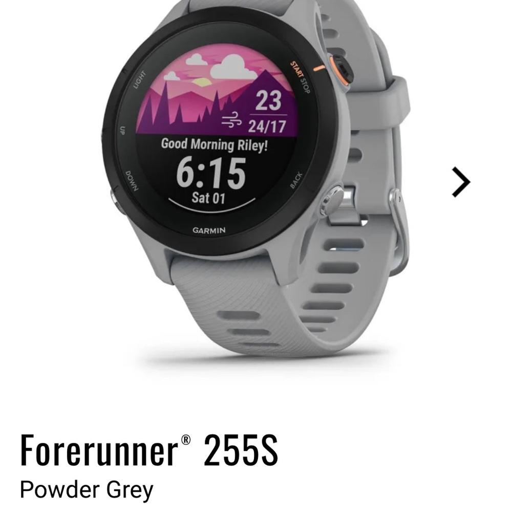 Garmin Forerunner 255S Smartwatch - Light Gray